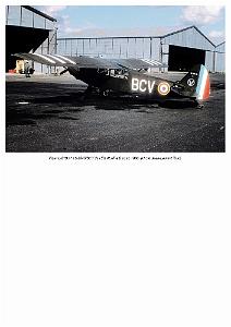 Piper L-21B_000021